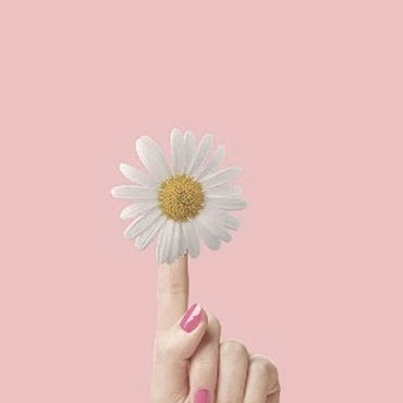 Sienevyi Pomegranate